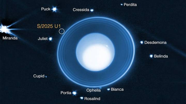 NASA’s Webb Telescope spots a new moon orbiting Uranus