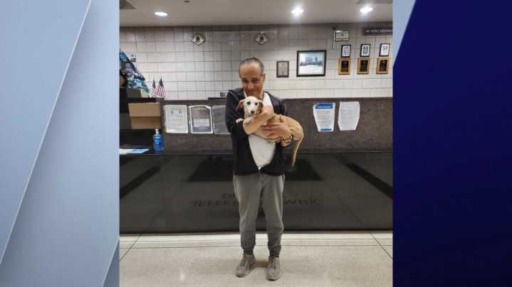 Legally blind Chicago man reunited with stolen support dog after 2 months