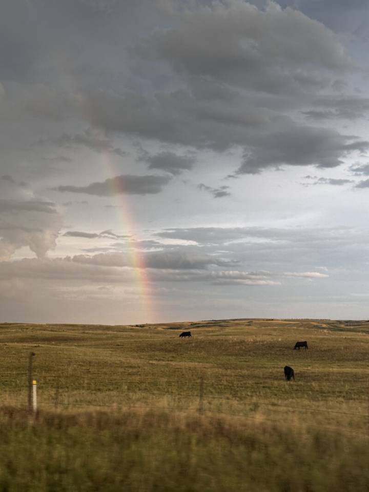 Veeder: Looking for the bright side in a summer of storms