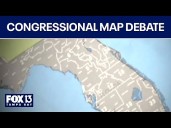 How redistricting Florida would look