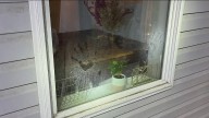 Haunting crime scene photos released from Idaho student murder house