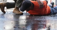 US immigrant population declines for first time in half a century, research shows