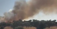 Declarado un incendio forestal en la zona del pinar de Alba de Tormes