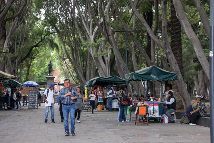 Ayuntamiento estaría dispuesto a donar Paseo Bravo al Gobierno del Estado