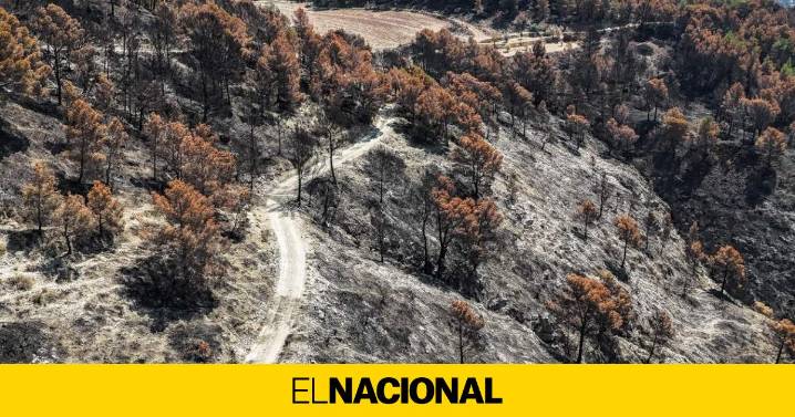 Alerta de alto riesgo de incendios en Tarragona, Lleida y Terres del Ebre: Illa agradece la llamada del rey
