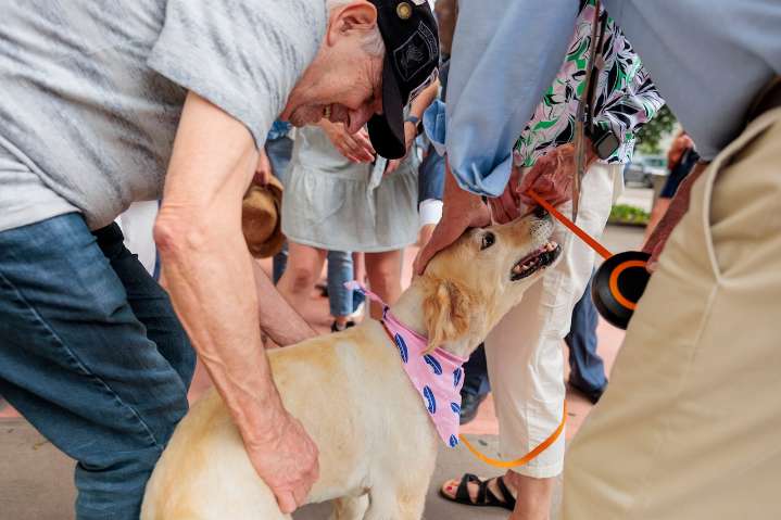 Survivor of deadly stabbing reunites with dog as dispute over pet’s ownership continues