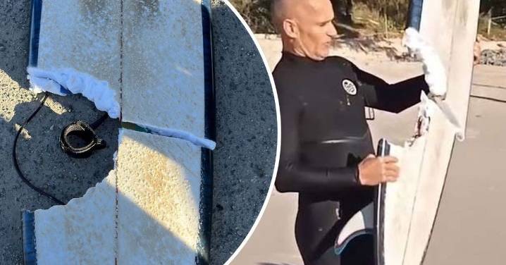 Cabarita Beach shark attack: Mayor calls for year-round drone surveillance after near