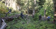The FBI found bones while searching campground areas for Travis Decker