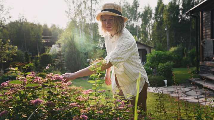 9 Genius Ways To Use Apple Cider Vinegar To Transform Your Garden
