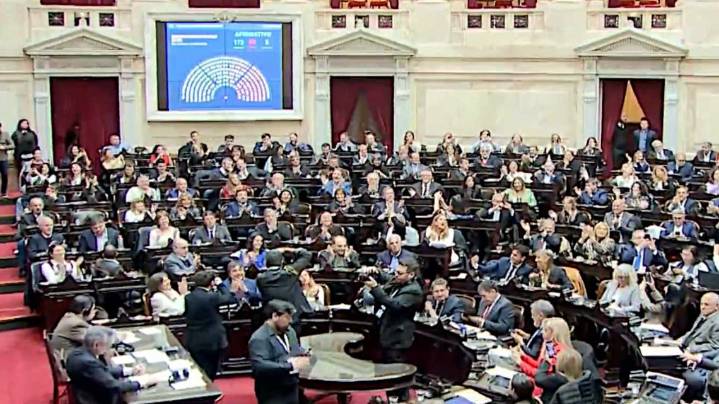 El Congreso dejó sin efecto el veto presidencial: uno por uno, cómo votaron los diputados la Emergencia en Discapacidad