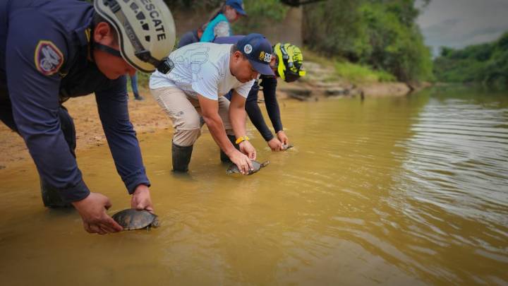 Rescate y liberación de 273 animales en alto riesgo en Orocué