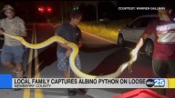 12-foot python on loose for weeks caught by Newberry County family
