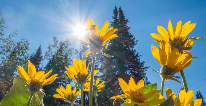 Free Things to Do in Denver Colorado