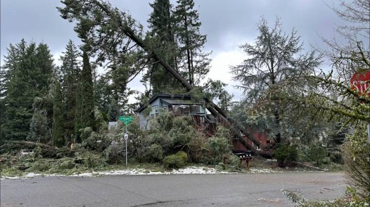 Portland couple's home insurance coverage dropped after storm damage, burglary