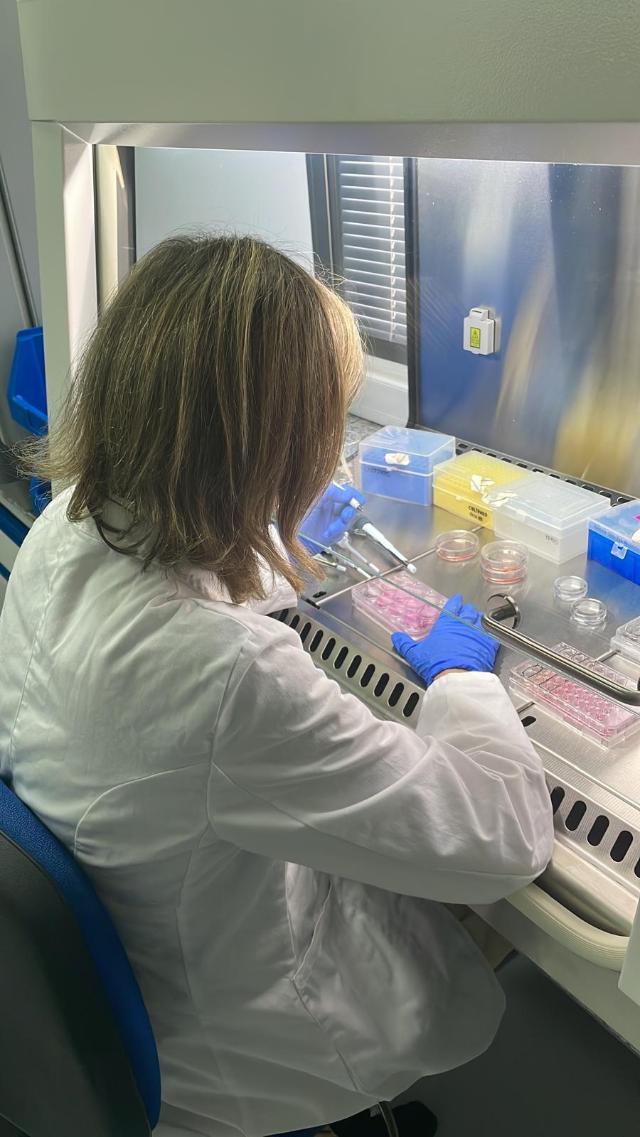 Los investigadores extremeños pueden solicitar una beca Fulbright posdoctoral en Estados Unidos hasta el 15 de septiembre