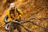Firefighters try to corral California forest blaze as lightning strikes bring risk of new ignitions