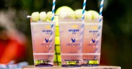 $23 Honey Deuce at US Open has outpaced inflation