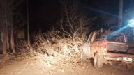 Por las fuertes ráfagas de viento, se registró la voladura de techos y caída de árboles en Cuyaya