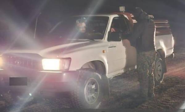 Secuestran un potro despostado en un control de ruta