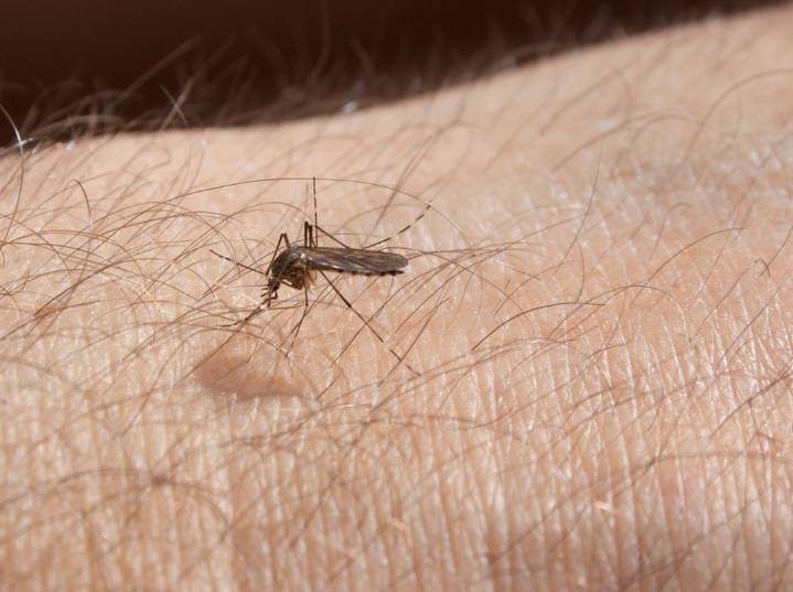 MDH confirms 20 West Nile Virus cases, 2 deaths in Minnesota this year