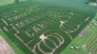 Think wedding proposals are corny? Wait till you see this one