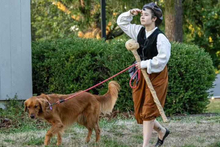 Love, Betrayal and Dogs