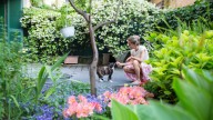 Why You Should Give This Self-Seeding Perennial With An Odd Name A Chance