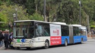 Coge un autobús en Mallorca y lo que ve en medio de la carretera le hace parar inmediatamente y desata las críticas al turismo