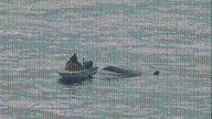 Rescuers called out to capsized boat off La Jolla