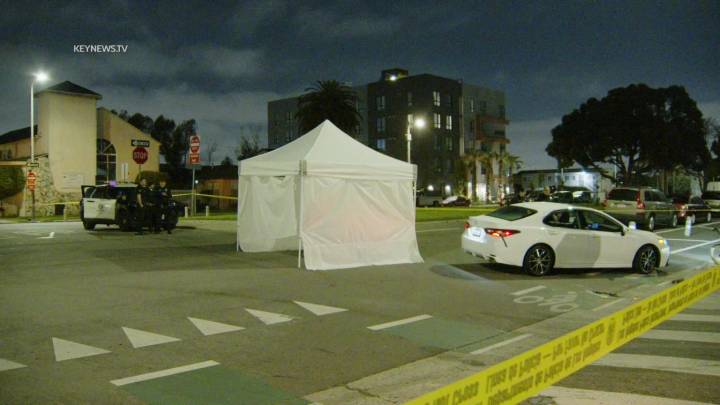 Man fatally shot in Pacoima