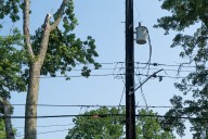 Landscaper electrocuted after making contact with live power line