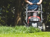 Best lawn mowers to order in Canada 2025