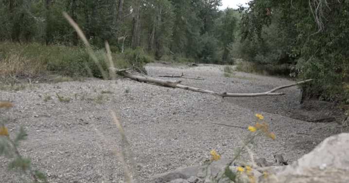 Drought conditions dry up parts of Lolo Creek