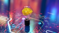 RiverPark Funds: AI Momentum And Healthcare Headwinds Drive Portfolio Shifts In Q2 2025