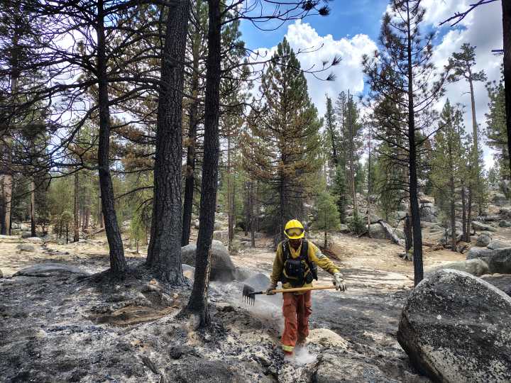 Van 2 mil 240 hectáreas afectadas en San Pedro Mártir por incendio