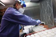 Bird Flu In The US: Seventy Human Cases, Mostly Mild, But With Warning Signs
