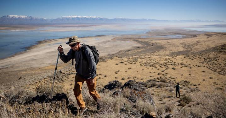 Utah could bring bighorn sheep back to another Great Salt Lake island