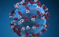 Measles detected in West Hawaii wastewater, health officials say