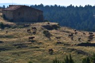 Teruel Existe asegura que la implementación de energías renovables a gran escala “abre la puerta a más proyectos extractivos”