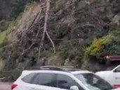 Fuertes ráfagas de viento derribaron un árbol en la Av. Borgoño en Reñaca: casi impacta a vehículos