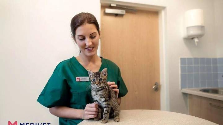 Los colegios veterinarios de Extremadura apoyan que el Grado de Veterinaria tenga seis cursos