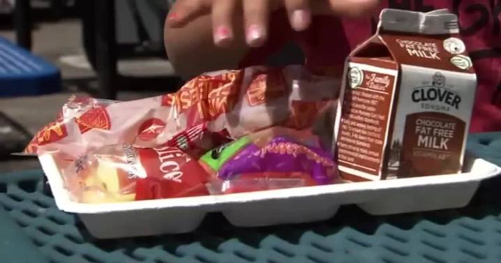 SB14 to remove dyes and additives from school cafeterias
