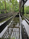 Forgotten Sportsman's Island was once a Minnesota party spot