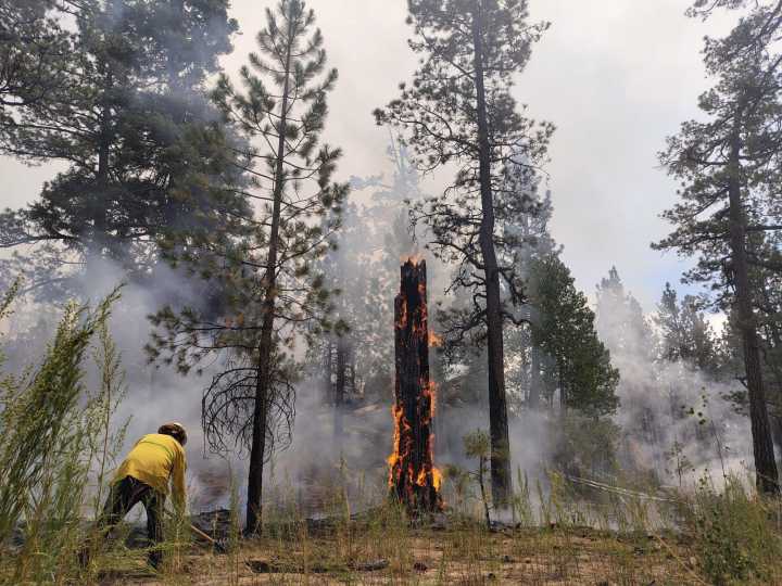Suman mil 276 hectáreas consumidas por incendio en San Pedro Mártir