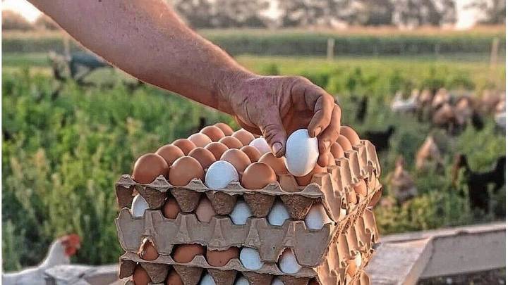 Récord histórico por el consumo de huevos diarios en el país