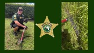 Osceola deputy wrangles gator near school, relocates it, video shows