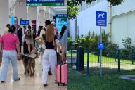 Aeropuerto de Mérida habilita áreas "pet friendly" para viajeros de cuatro patas