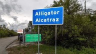 Top Florida official says ‘Alligator Alcatraz’ will likely be empty within days, email shows