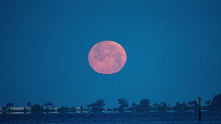 Full moon is near. See viewing conditions for Louisville