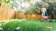 The Low-Maintenance Landscape Idea For A No